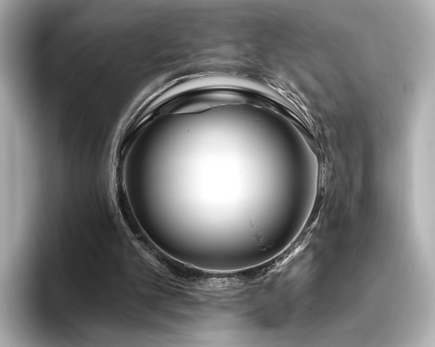 X0000096450101200801241427