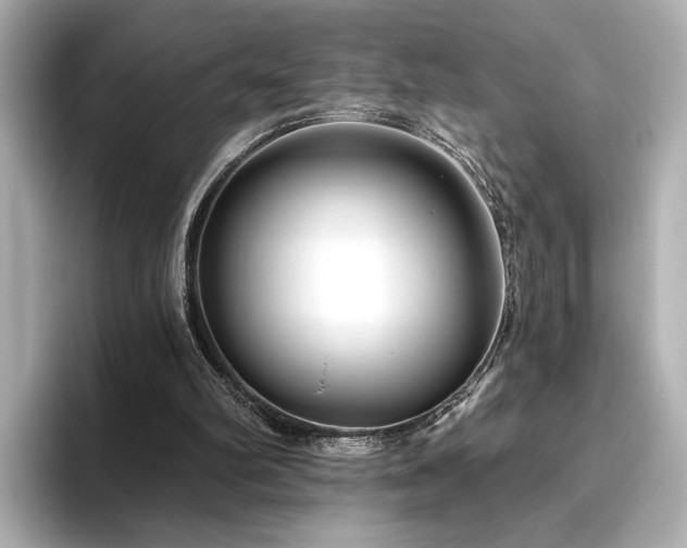 X0000096450102200801241427