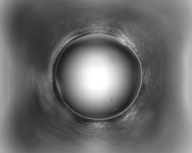 X0000096450103200801241427