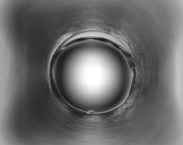 X0000096450104200801241427