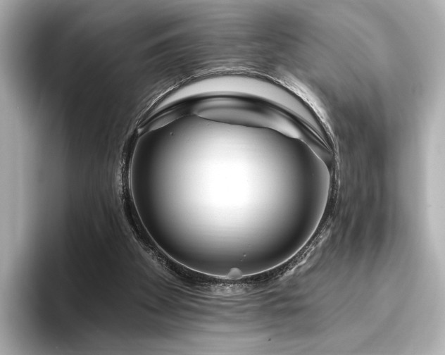 X0000096450105200801241427