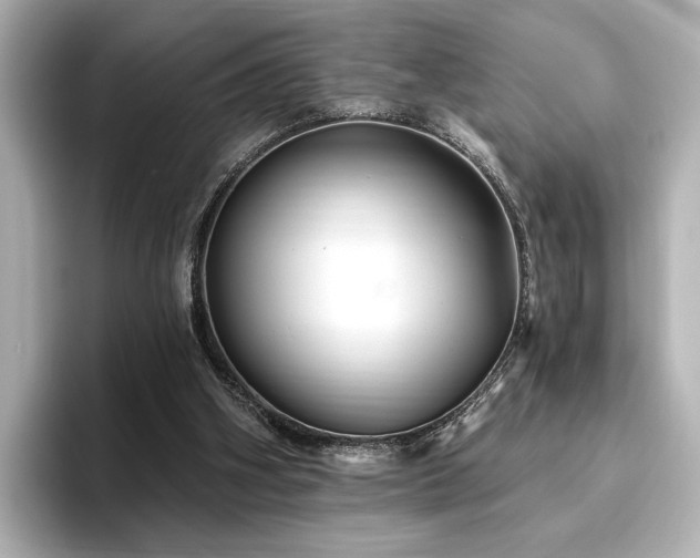 X0000096450106200801241427