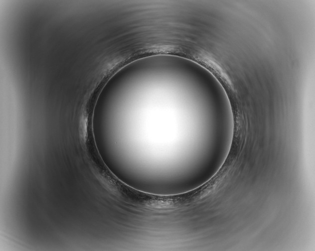 X0000096450110200801241427
