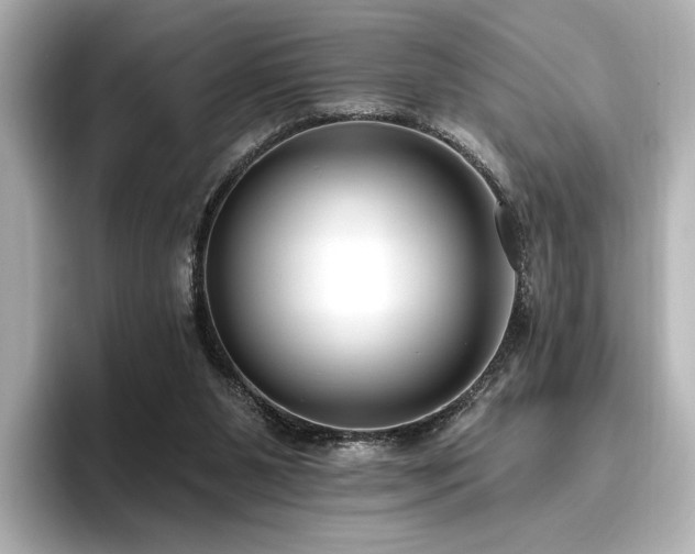 X0000096450111200801241427