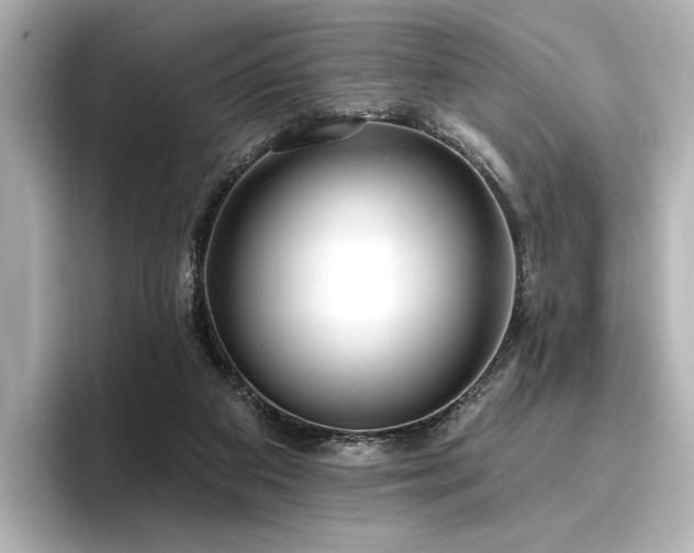 X0000096450113200801241427