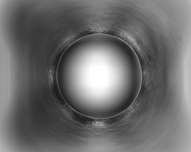 X0000096450114200801241426