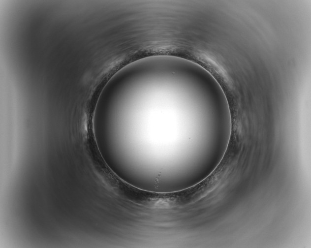 X0000096450115200801241426