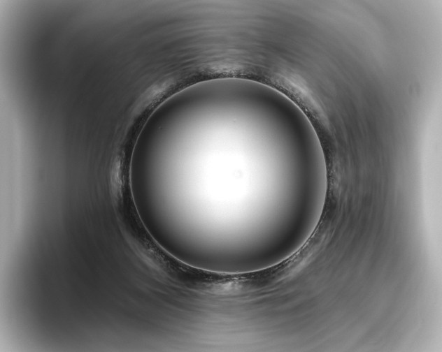 X0000096450116200801241426