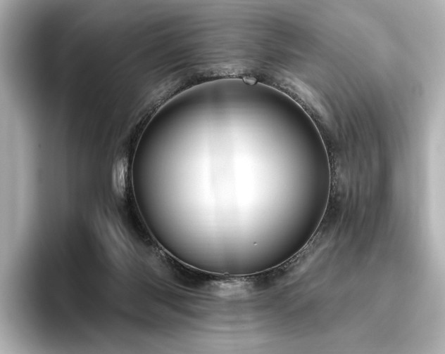 X0000096450118200801241426