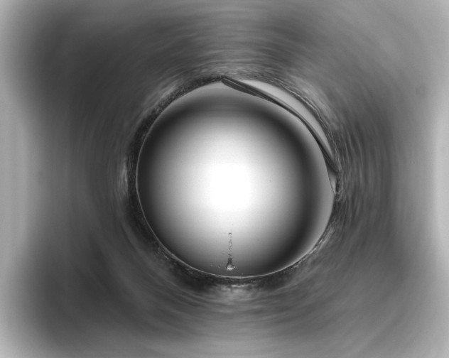 X0000096450120200801241426