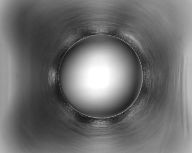 X0000096450123200801241426