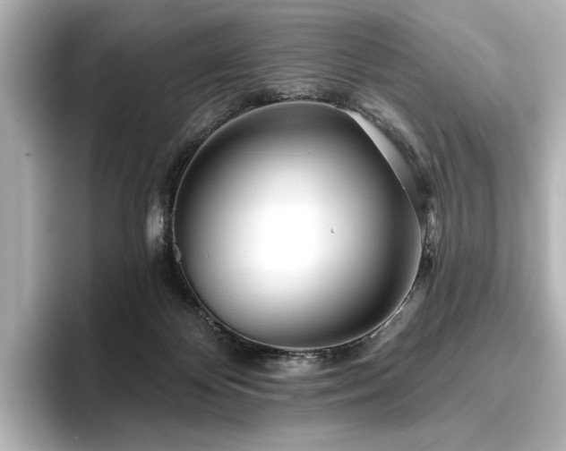X0000096450124200801241426