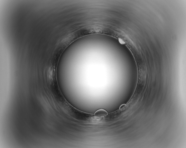 X0000096450126200801241426