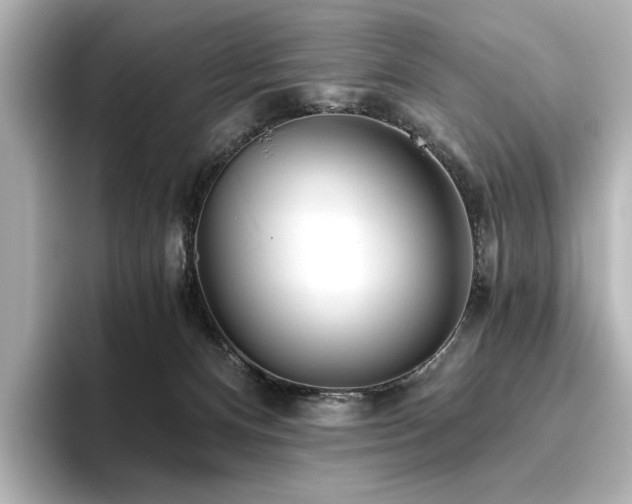 X0000096450128200801241426