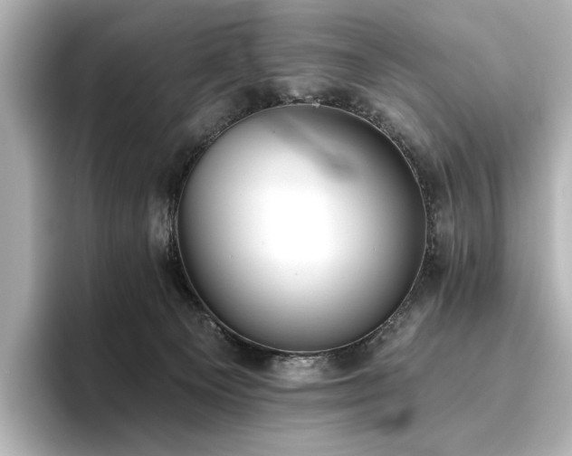 X0000096450129200801241426