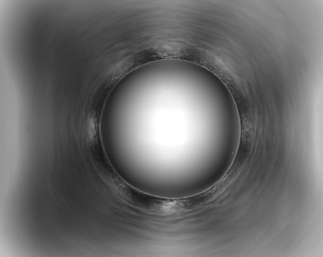 X0000096450130200801241426