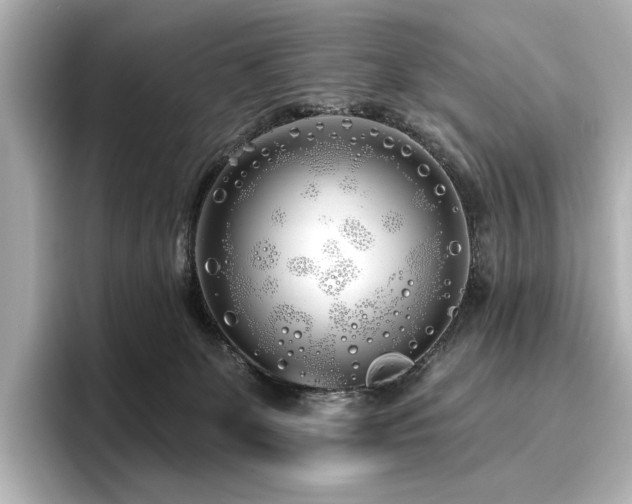 X0000096450131200801241426