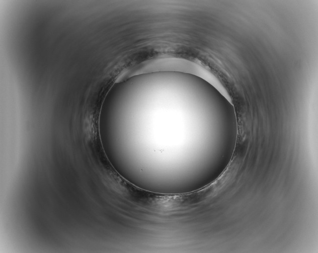X0000096450136200801241426