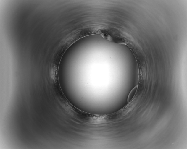 X0000096450138200801241426
