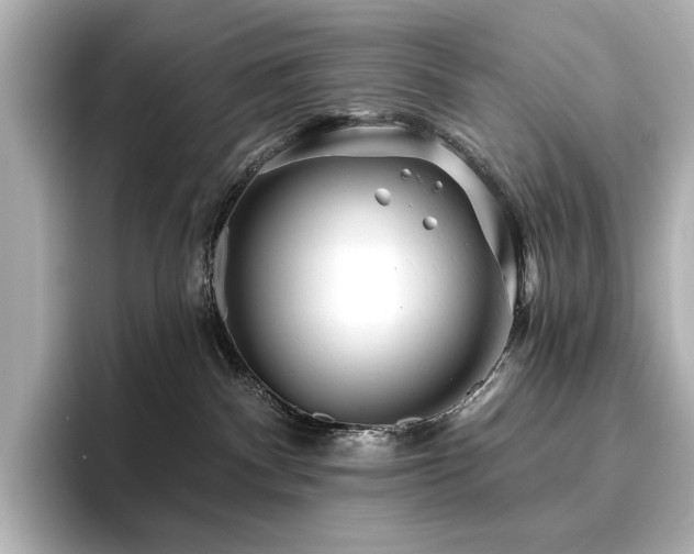X0000096450140200801241426