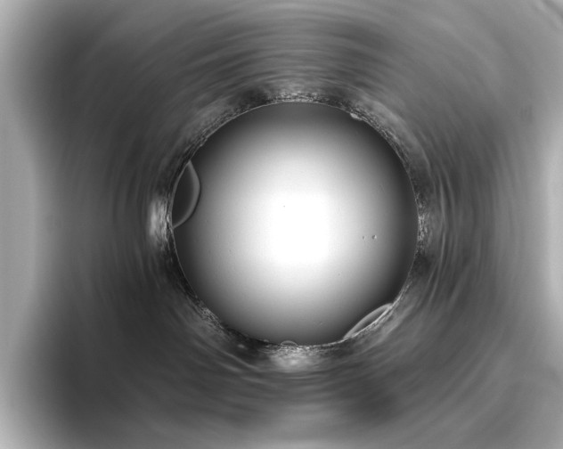 X0000096450142200801241426