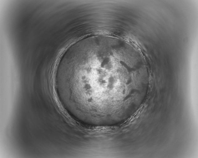 X0000096450145200801241425