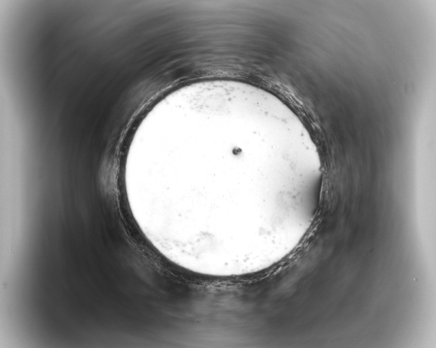 X0000096450146200801241425