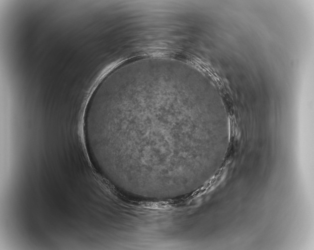 X0000096450147200801241426
