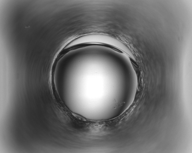 X0000096450148200801241426
