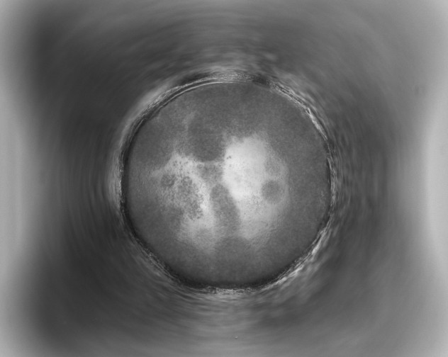 X0000096450149200801241426