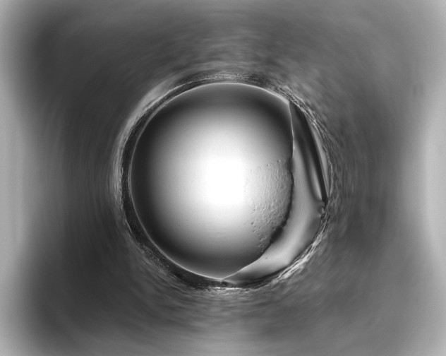 X0000096450150200801241426