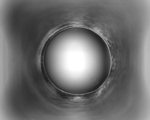 X0000096450151200801241426