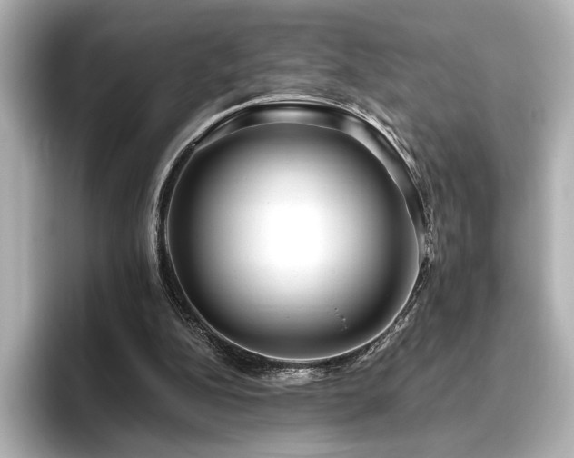 X0000096450152200801241426