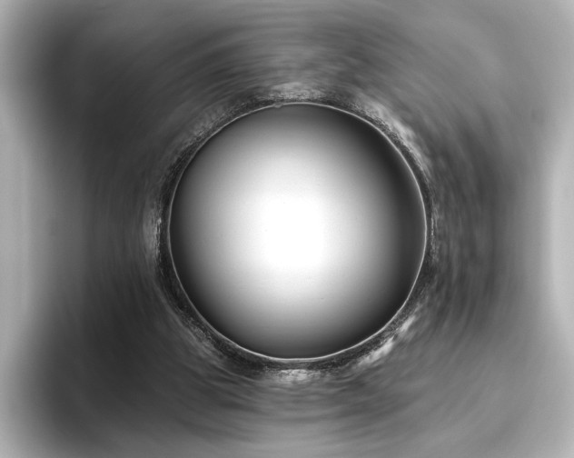 X0000096450153200801241426
