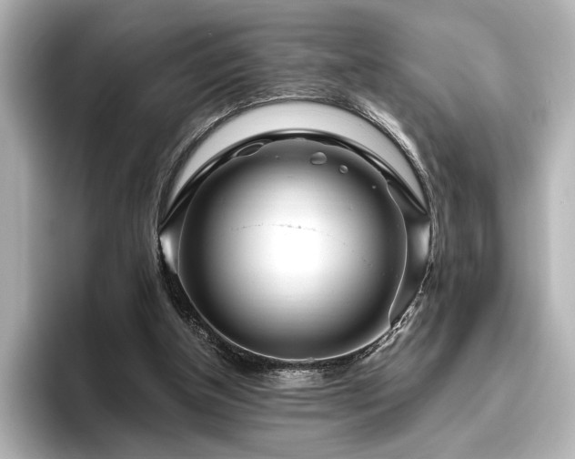 X0000096450154200801241426