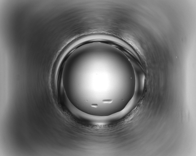 X0000096450156200801241426