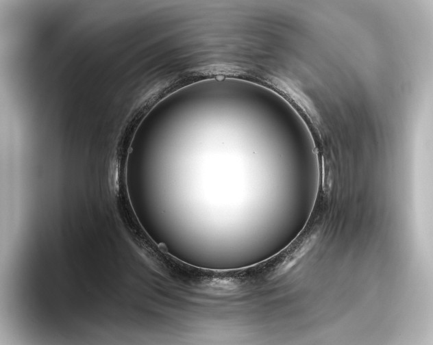 X0000096450157200801241426