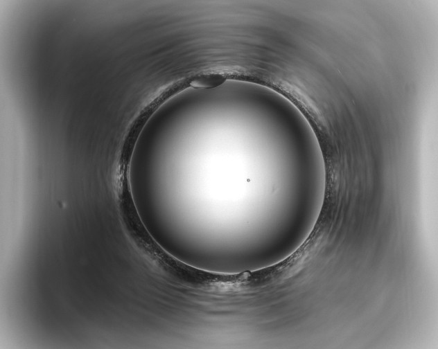 X0000096450160200801241426