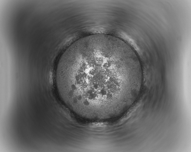X0000096450161200801241426