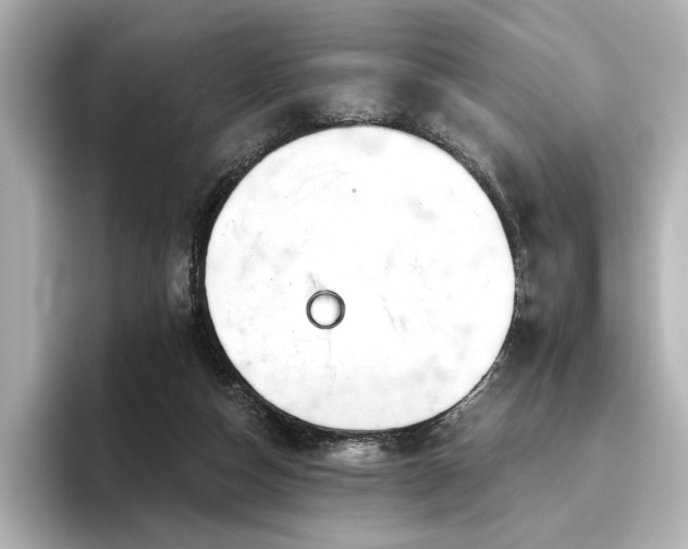 X0000096450162200801241426