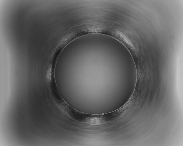 X0000096450163200801241426
