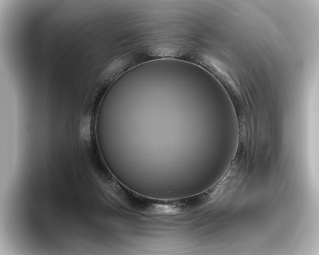 X0000096450167200801241426