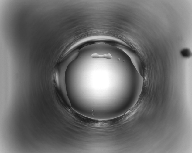 X0000096450168200801241426