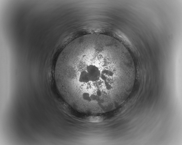X0000096450169200801241426