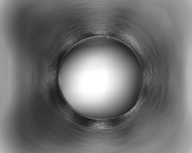X0000096450171200801241426