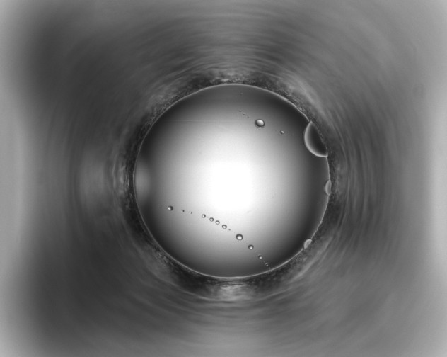 X0000096450173200801241426
