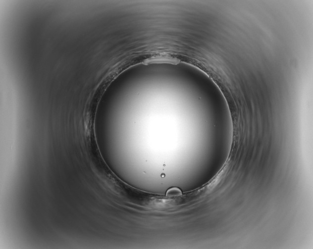 X0000096450174200801241426