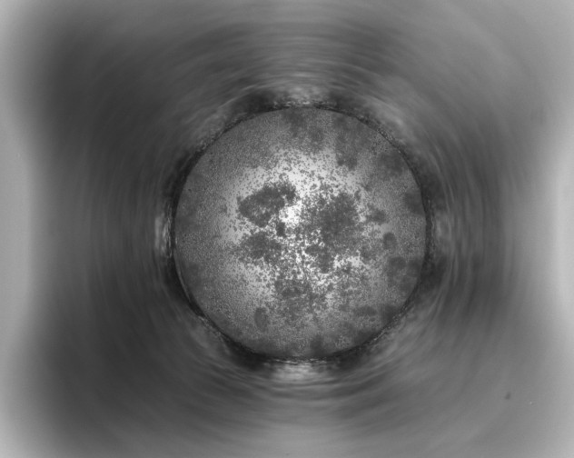 X0000096450177200801241426