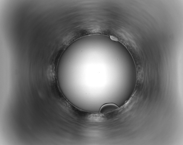 X0000096450179200801241426