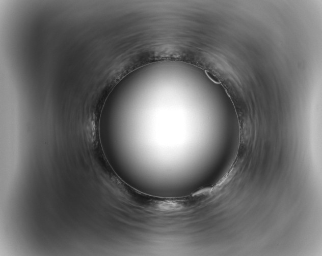X0000096450183200801241426